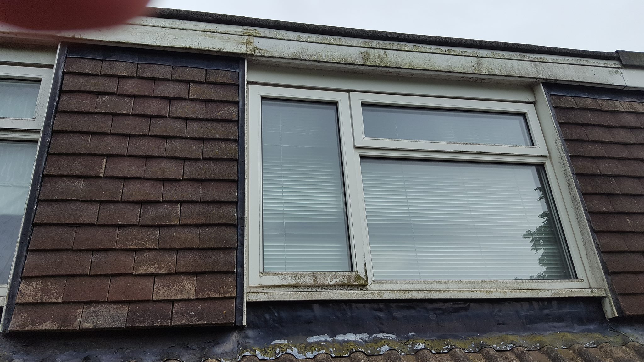 Cleanforce exterior cleaning project